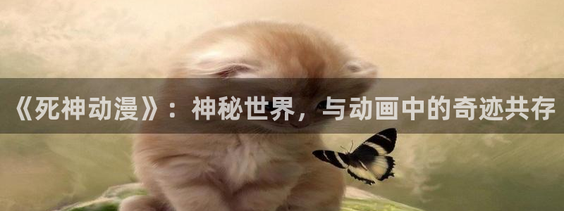 五一动漫