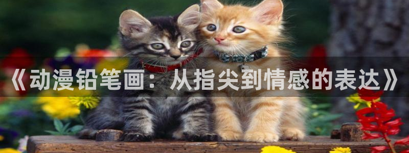 五一动漫免费观看